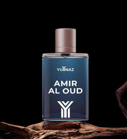 Amir Al Oud Perfume in Pakistan - yumnaz