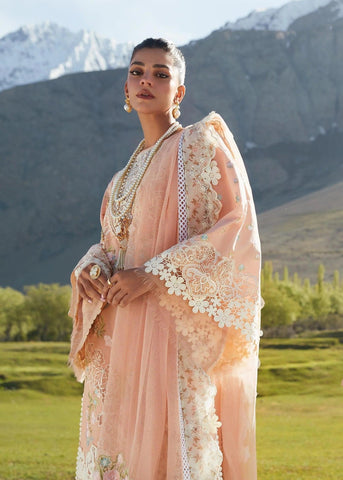 Crimson Embroidered Lawn Suits Unstitched 3 Piece 1B Dusty Pink Summer Collection