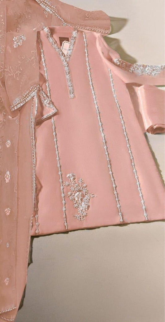 Agha Noor Organza Suit - Yumnaz