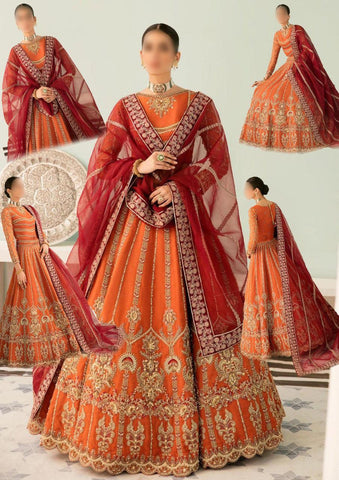 Akbar Aslam Net Frock