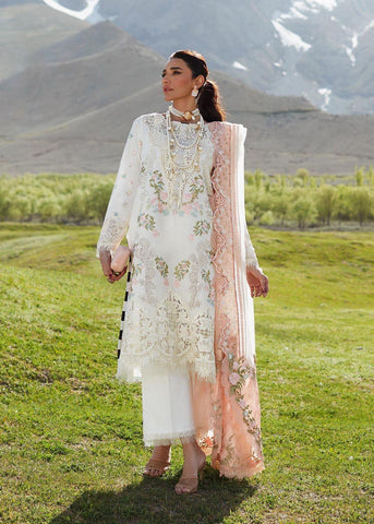 Crimson Cotton Suit - Yumnaz