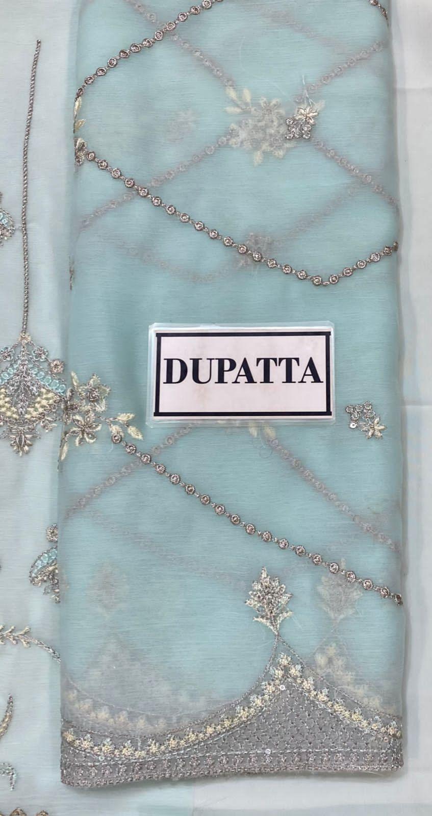 Gulaal Chiffon Suit - Yumnaz