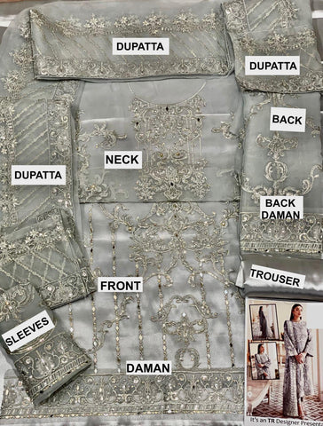 Gulaal Organza Suit - Yumnaz