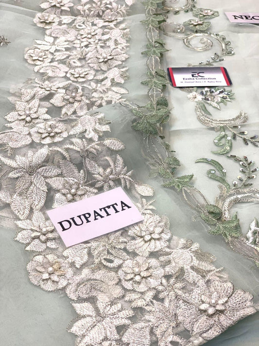 Gulaal Organza Suit - Yumnaz