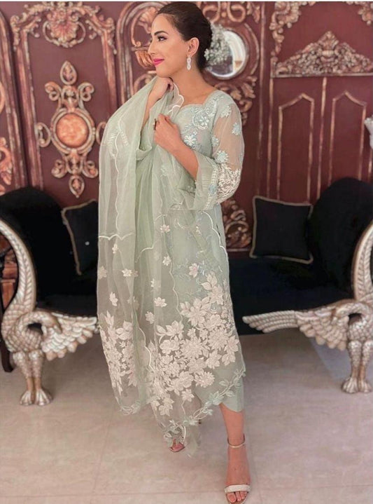Gulaal Organza Suit - Yumnaz