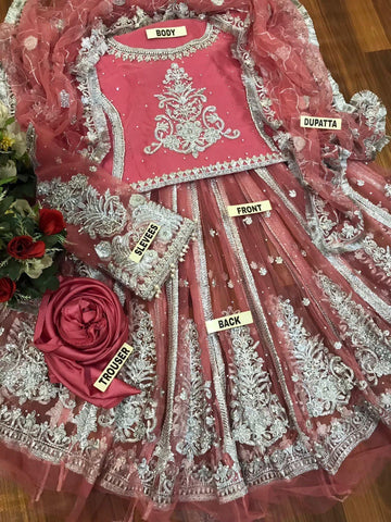 Hira Mani Net Frock