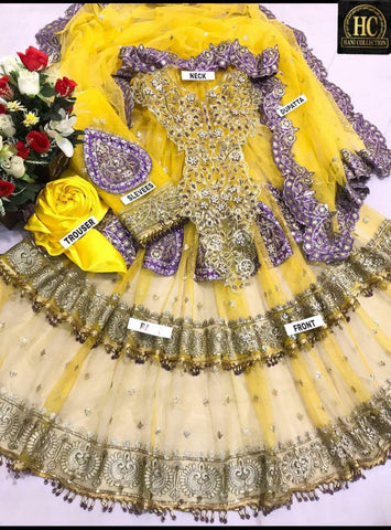 Kashees Net Frock
