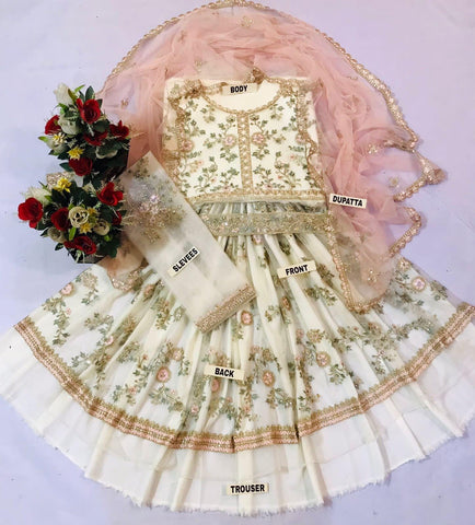 Lashkara Net Frock - Yumnaz