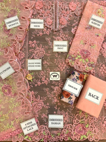 Maria B Organza Suit - Yumnaz