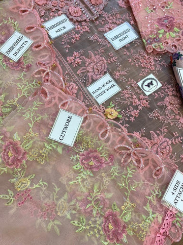 Maria B Organza Suit - Yumnaz