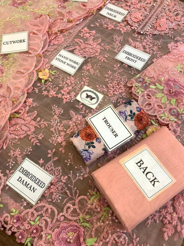 Maria B Organza Suit - Yumnaz