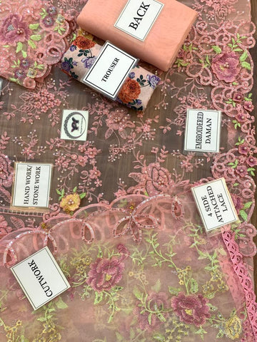 Maria B Organza Suit - Yumnaz