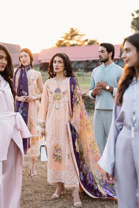 Mushq Cotton Suit - Yumnaz