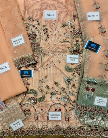 Ramsha Organza Suit - Yumnaz