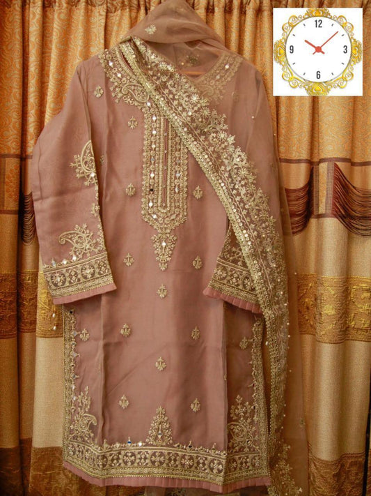 Sada Bahar Organza Suit - Yumnaz