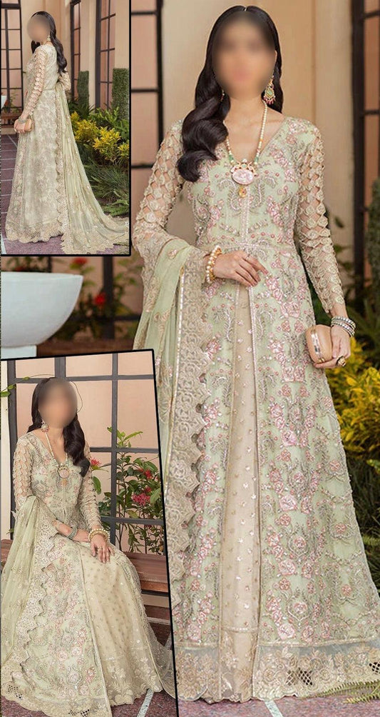 Serene Organza Suit - Yumnaz