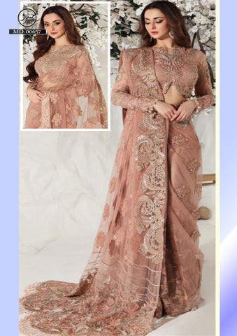 Shiza Hassan Net Saaree